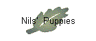 Nils'  Puppies