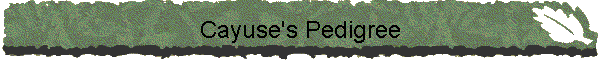 Cayuse's Pedigree