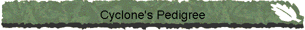 Cyclone's Pedigree