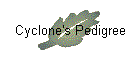 Cyclone's Pedigree