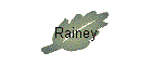 Rainey