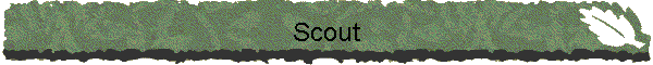 Scout