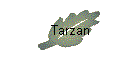 Tarzan