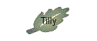 Tilly